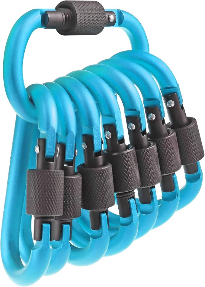 10 Pack Aluminum D Ring Key Rings Hiking Clips Locking Carabiner for Hiking Camping Fishing and Outdoor Use,Clips with Screw Gate Multicolored