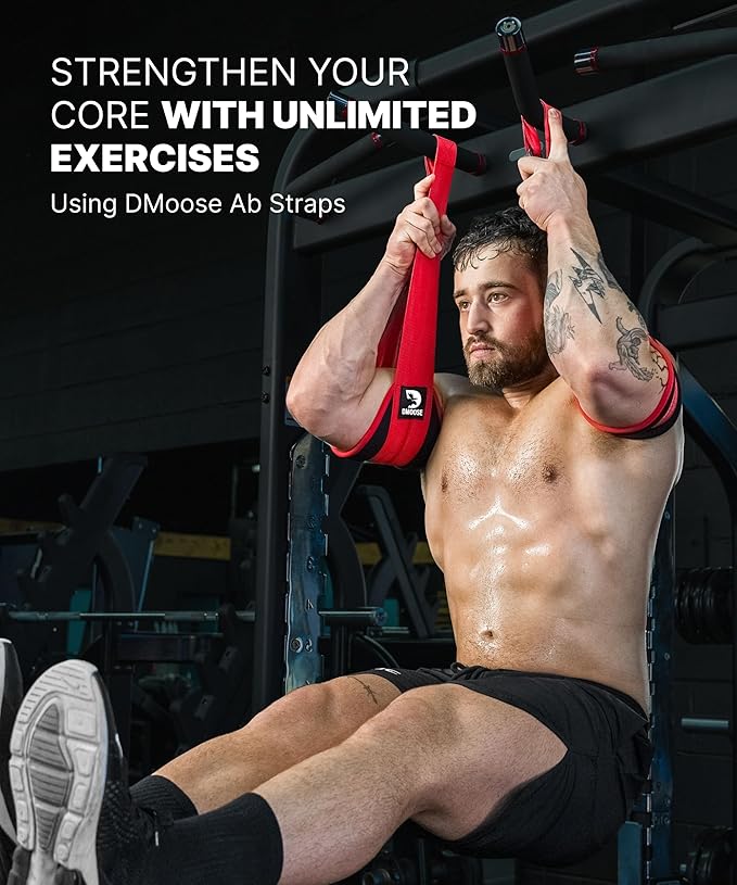 DMoose Fitness Hanging Ab Straps for Pull Up Bar & Core Strength Training - Soft Padded Exercise Straps for Ab Swing & Leg Raises, Hang Bar Strap with 2 Steel Carabiners - Abs Equipment for Home & Gym